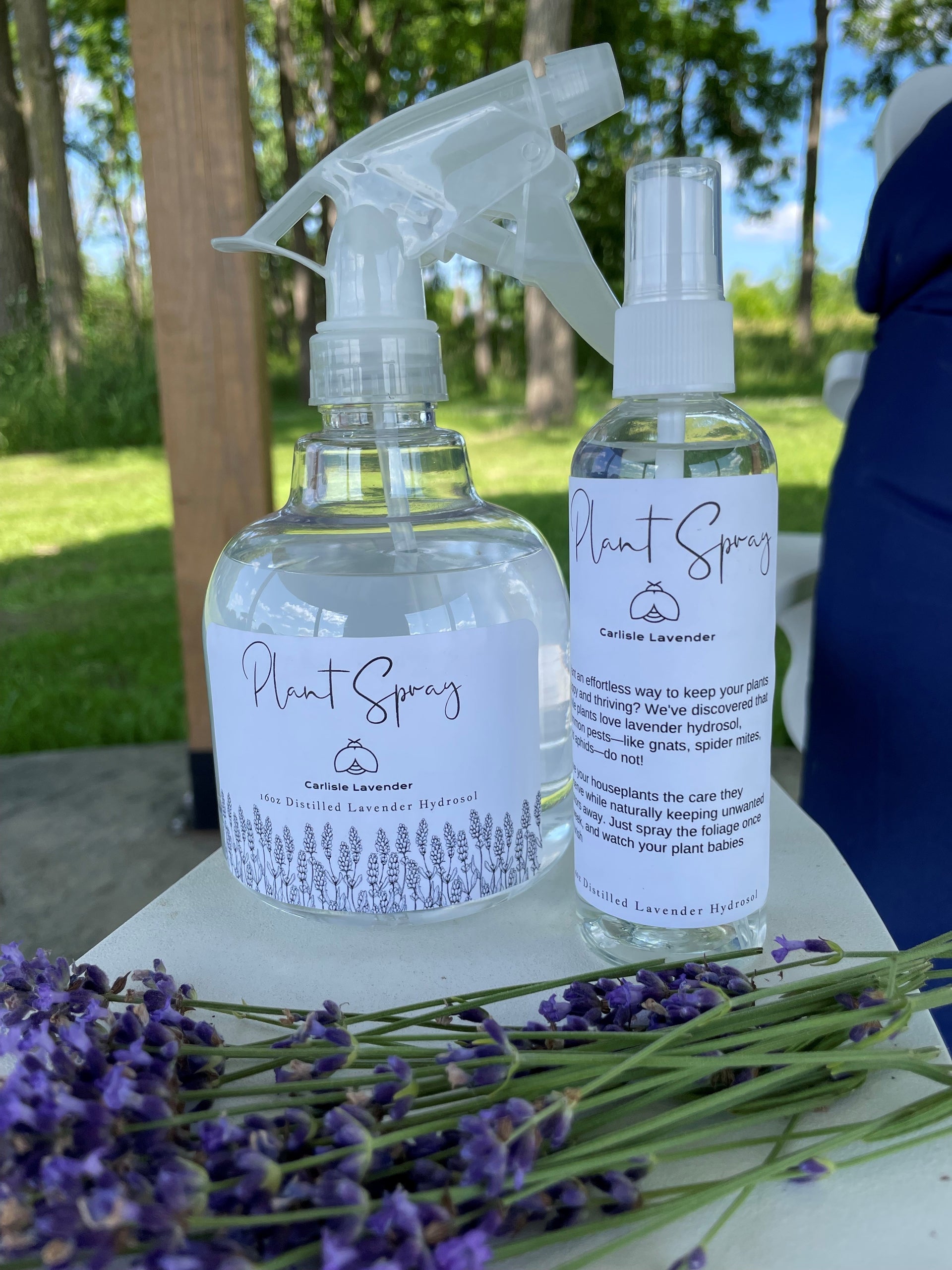 spider mites spray for plants Lavender Hydrosol Plant Spray – Carlisle Lavender